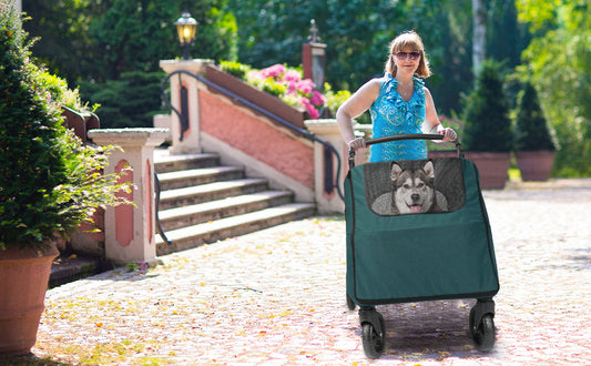 Predators Pets Rolling Carrier with 4 Durable Wheels – Adjustable Handle Pet Cart, Spacious Jogging Wagon with Dual Entry for Small to Large Dogs